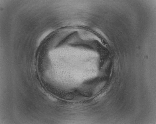X0000077341071200611101543