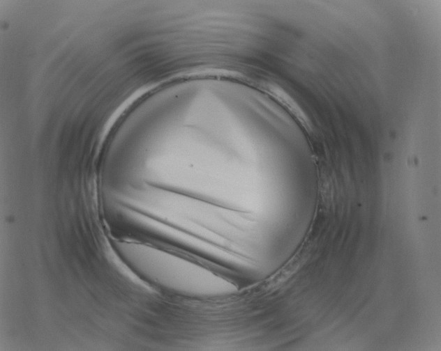 X0000077341092200611101543