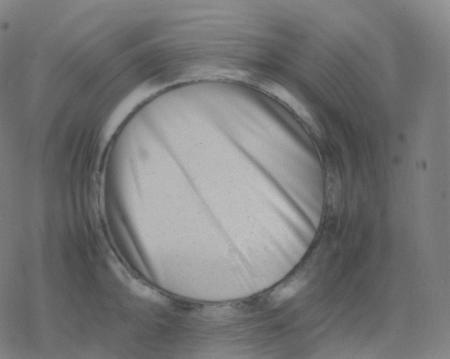 X0000077341094200611101543