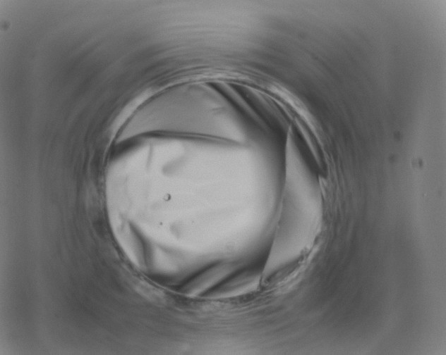 X0000077341097200611101542