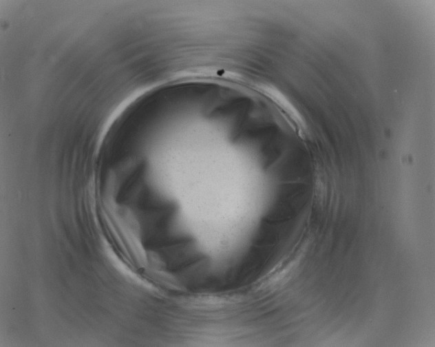 X0000077341100200611101542