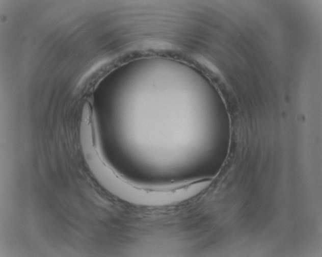 X0000077341112200611101542