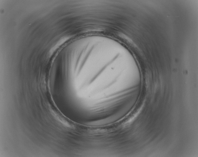 X0000077341113200611101542