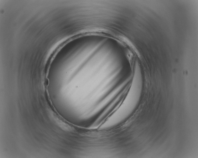 X0000077341124200611101542