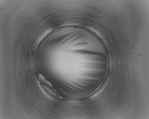 X0000077341137200611101542