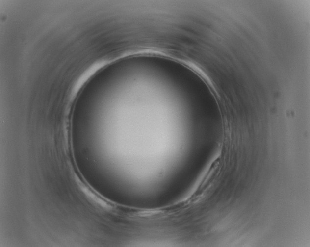 X0000077341151200611101542