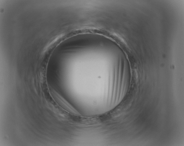 X0000077341159200611101541