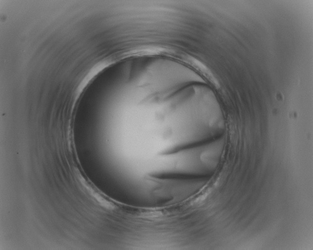 X0000077341186200611101541