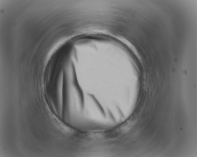 X0000077341191200611101541