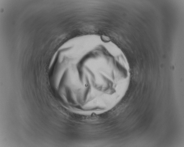 X0000077341201200611101540