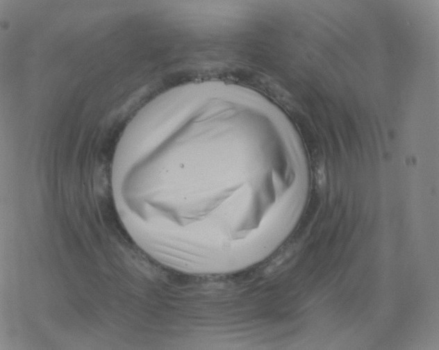 X0000077341204200611101540