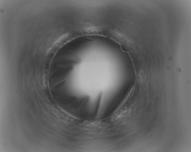 X0000077341205200611101540