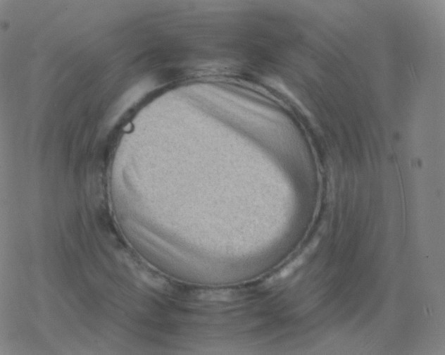 X0000077341211200611101540