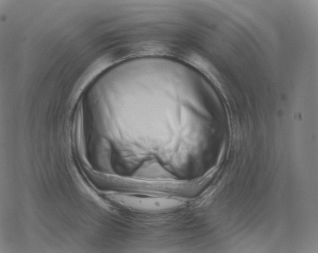 X0000077341235200611101541