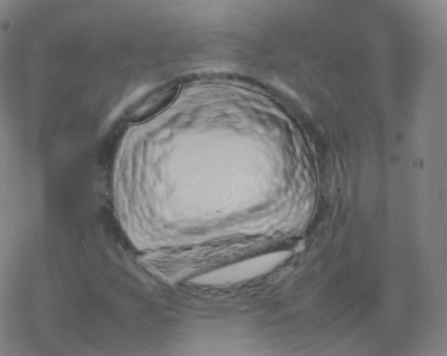 X0000077341255200611101540