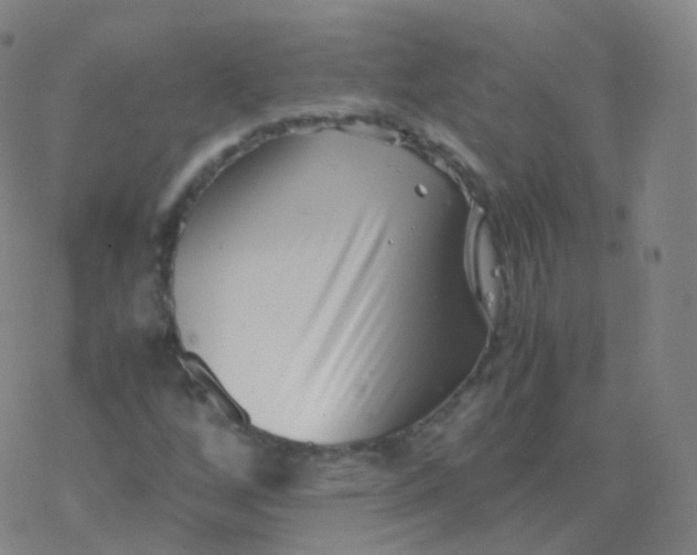 X0000077341256200611101540