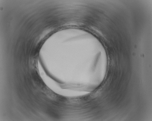 X0000077341258200611101540