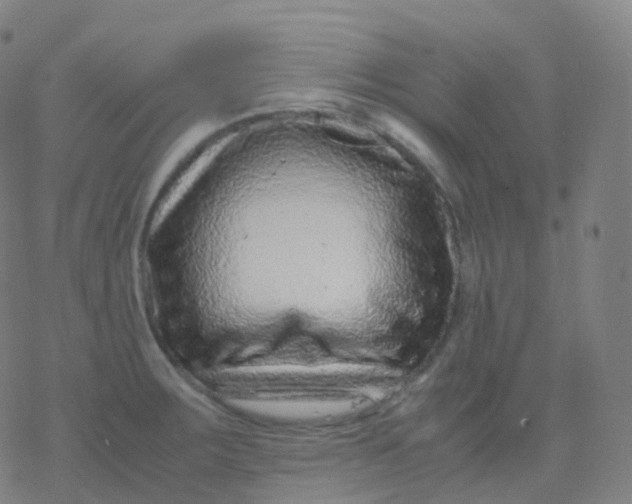 X0000077341283200611101539