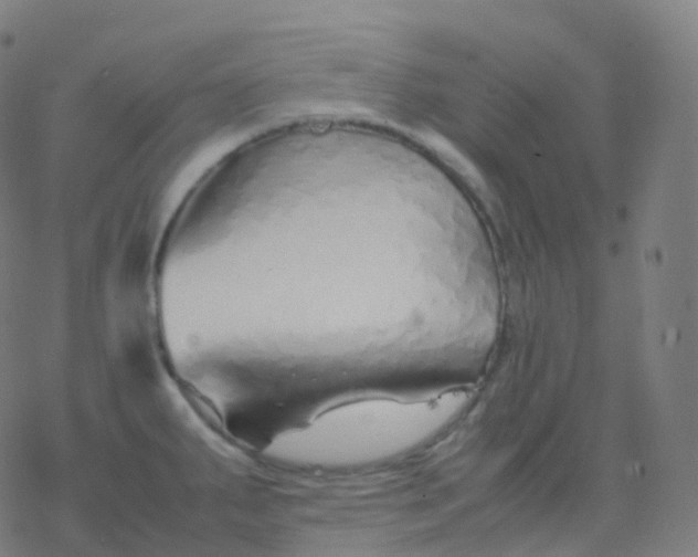 X0000077341287200611101539