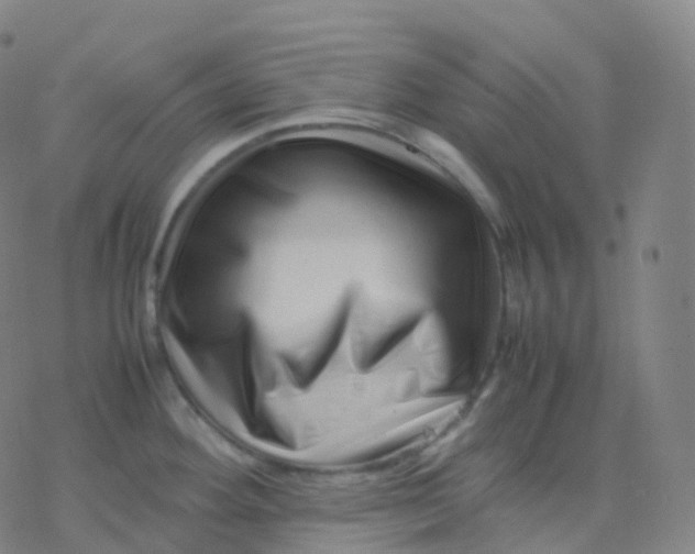 X0000077341292200611101539