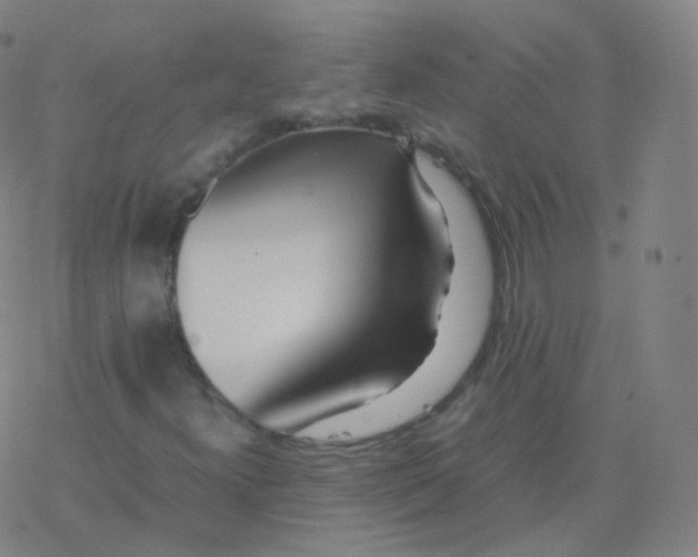 X0000077341300200611101538