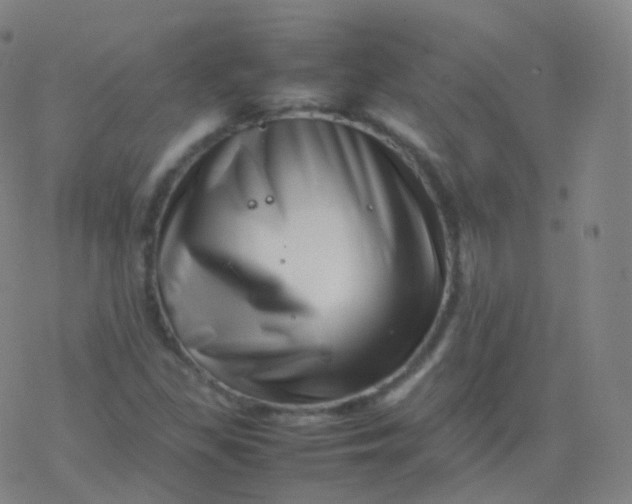 X0000077341309200611101539