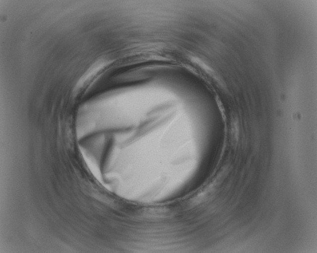 X0000077341354200611101538