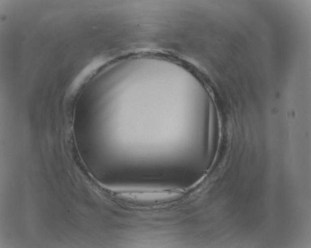 X0000077341359200611101538