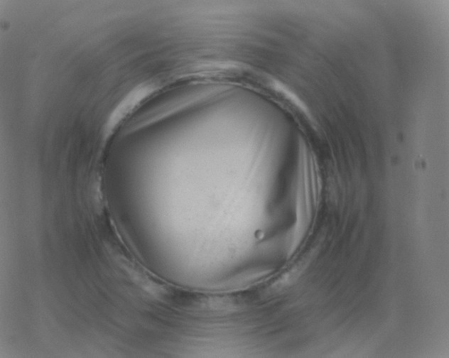 X0000077341362200611101538