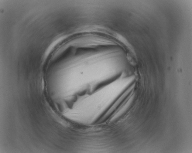 X0000077341368200611101538