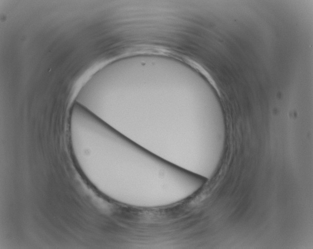 X0000077341379200611101538
