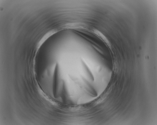 X0000077341386200611101538