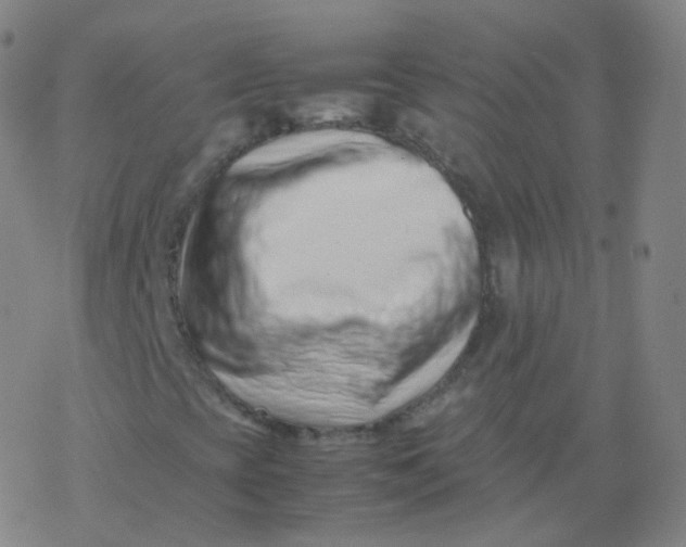 X0000077341393200611101537