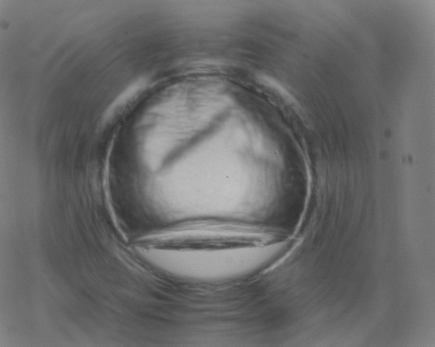 X0000077341403200611101537