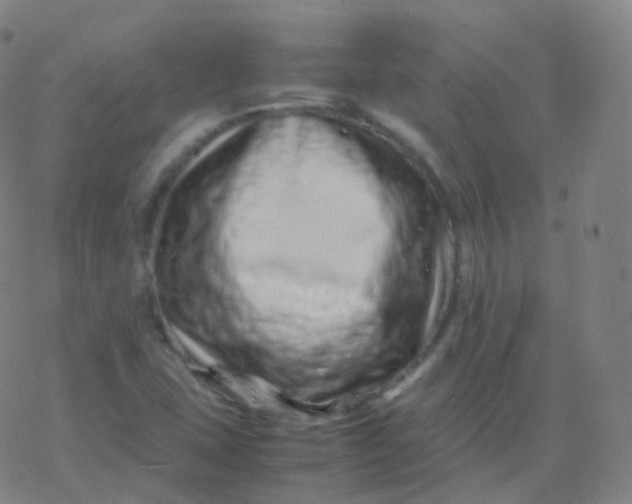 X0000077341407200611101537