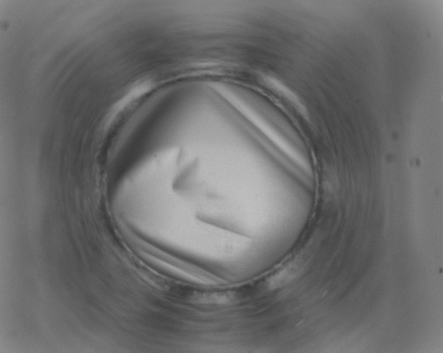 X0000077341411200611101537