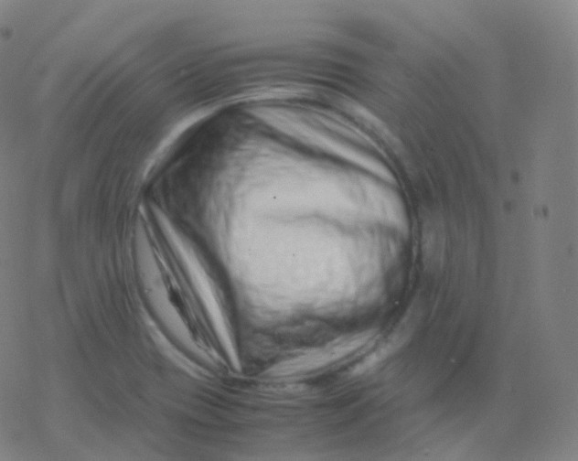 X0000077341417200611101537
