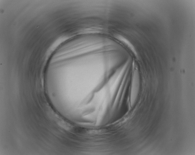 X0000077341419200611101537