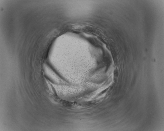 X0000077341441200611101537