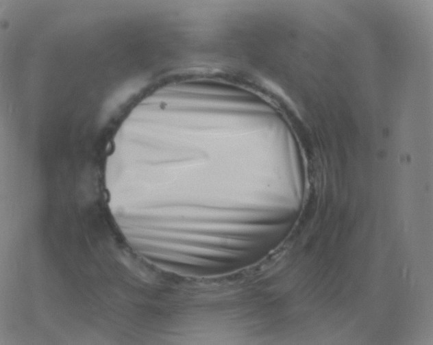 X0000077341448200611101537