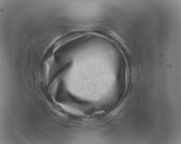 X0000077341449200611101537
