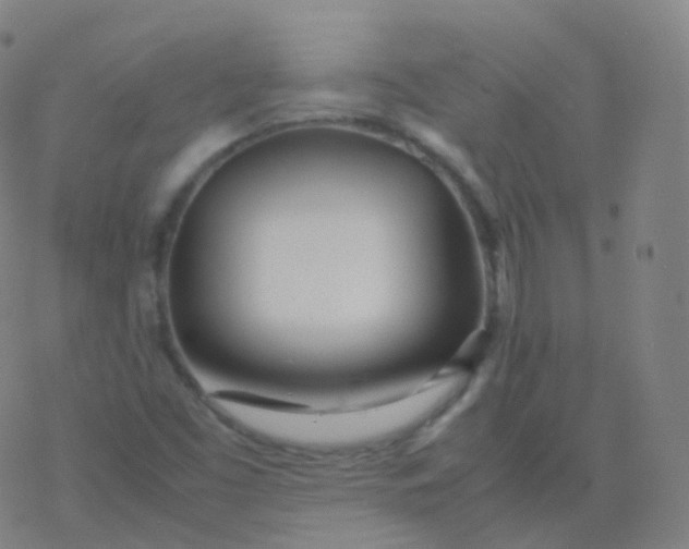 X0000077341453200611101537