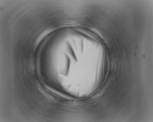 X0000077341458200611101537