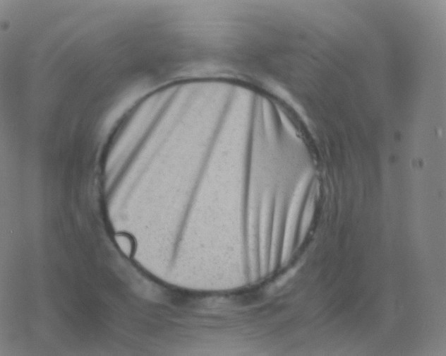 X0000077341463200611101537