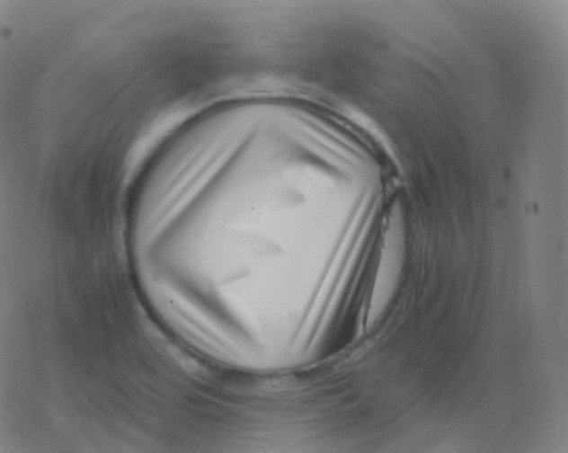 X0000077341464200611101536