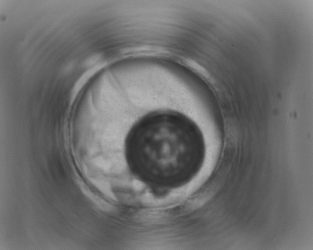X0000077341474200611101536
