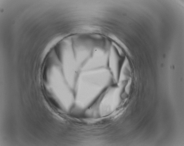 X0000077341477200611101536