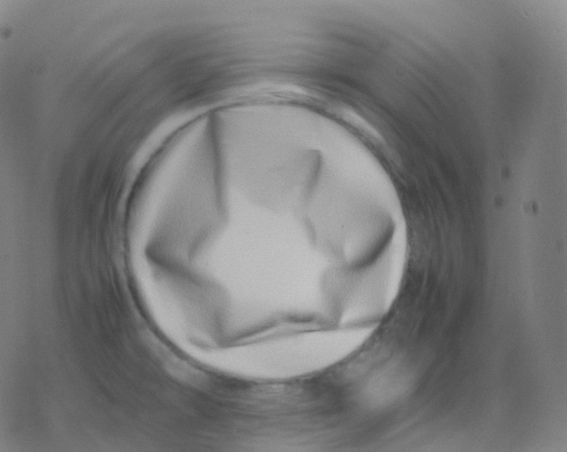 X0000077341478200611101536