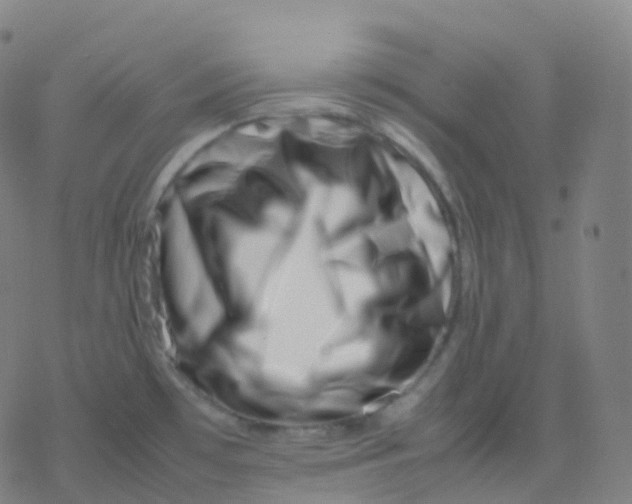 X0000077341481200611101536