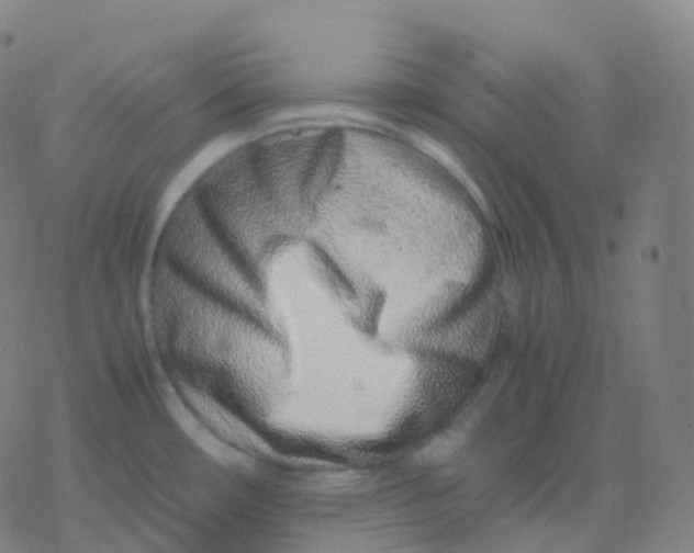 X0000077341482200611101536
